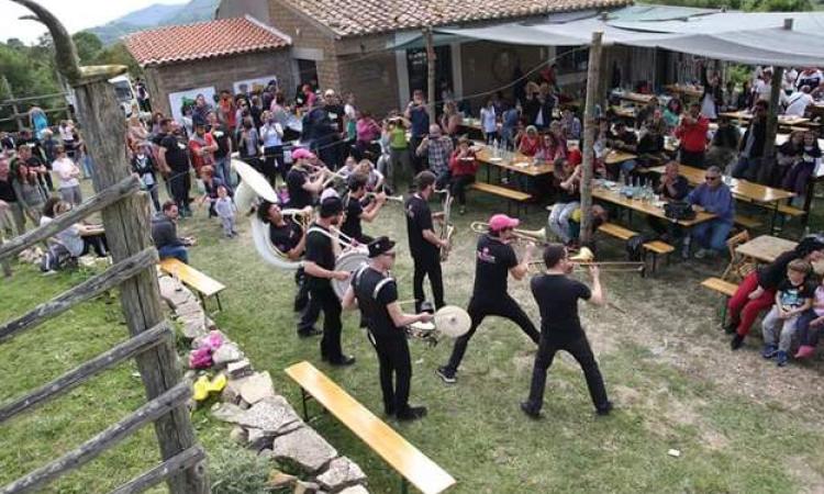 Tolfa Jazz 2017: anteprima con i Picnic Musicali