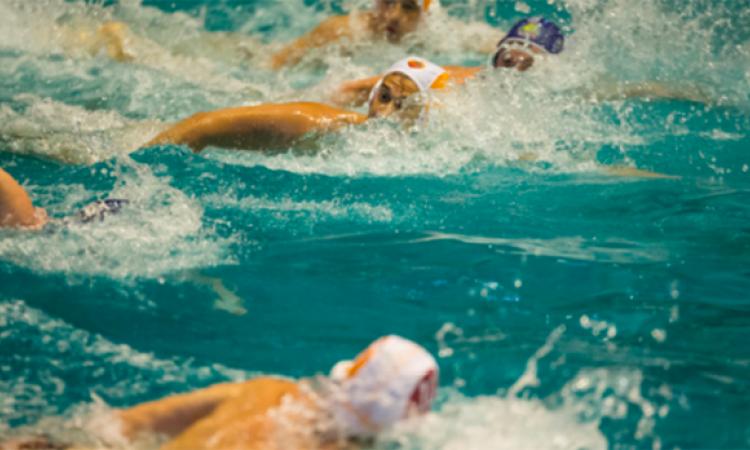 Roma Nuoto