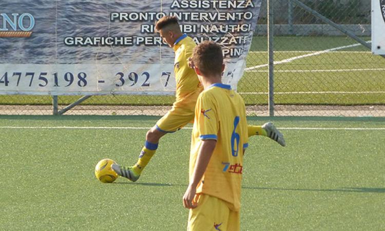 Frosinone Primavera ©GazReg