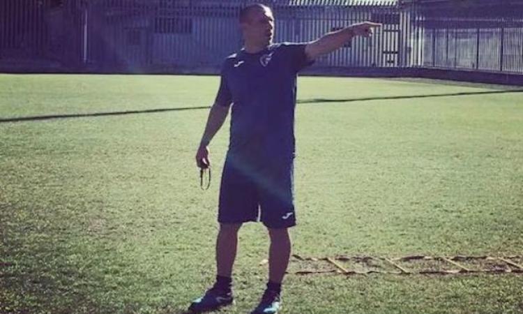 Grifone, Campagna in allenamento