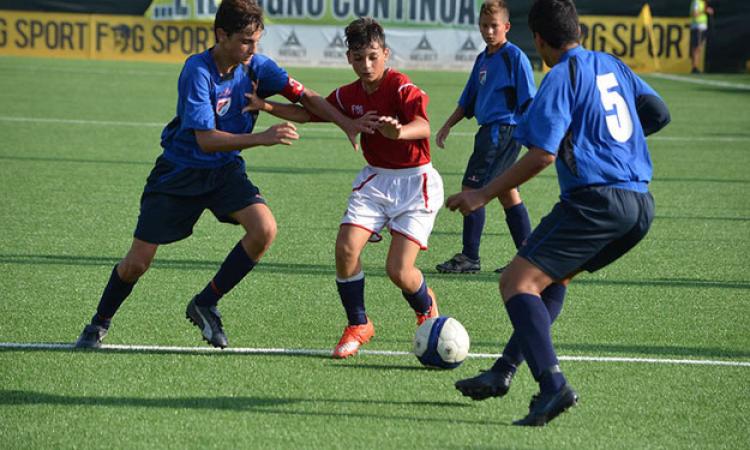 Lupa Roma in azione (Foto d&amp;apos;archivio ©GazReg)