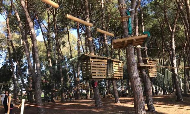 Una foto del parco