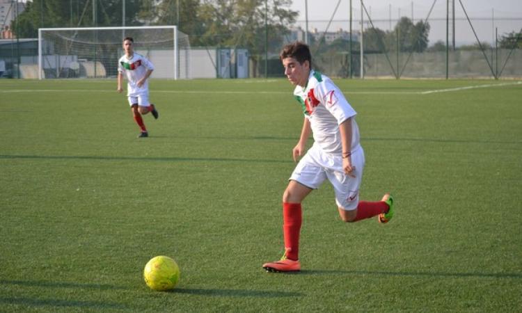 Dimolfetta in azione