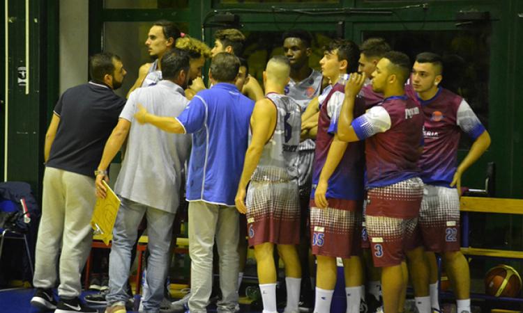 Basket Frascati