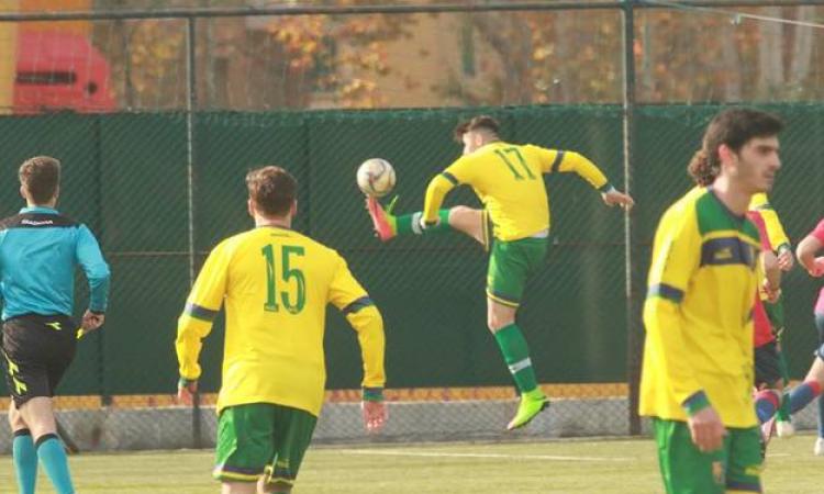 Grifone Gialloverde, un punto contro la capolista (foto Panella)