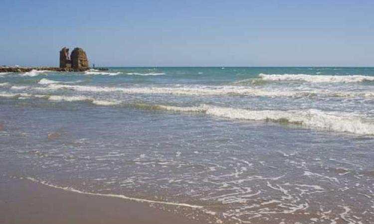 Ritorna "Il mare d'inverno" Domenica 28 dalle 09.30