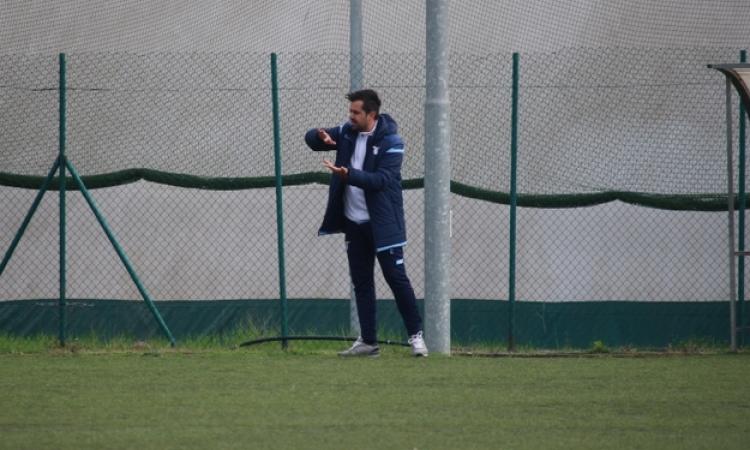 D&amp;apos;Andrea