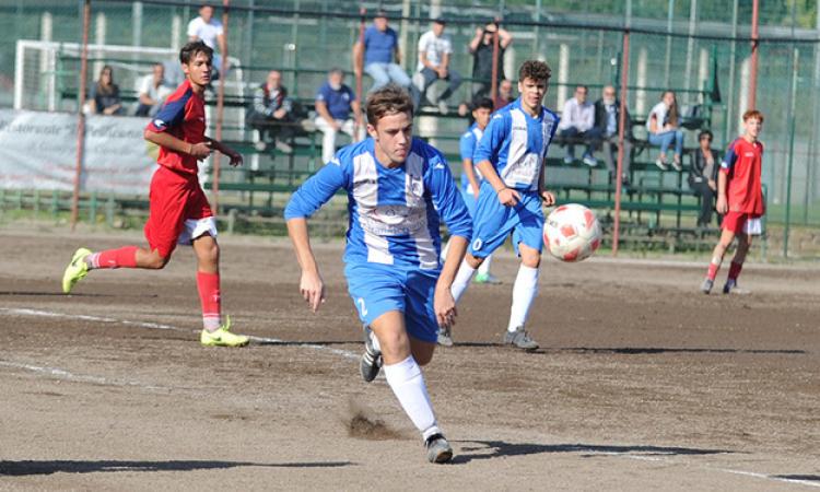 Vis Aurelia, ancora qualche speranza ©Del Gobbo