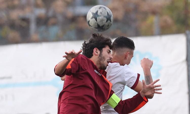 Pro Roma - Romulea ©Lori