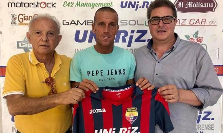 Gugliara, Pozzi e Tomaino