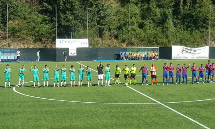 ingresso squadre