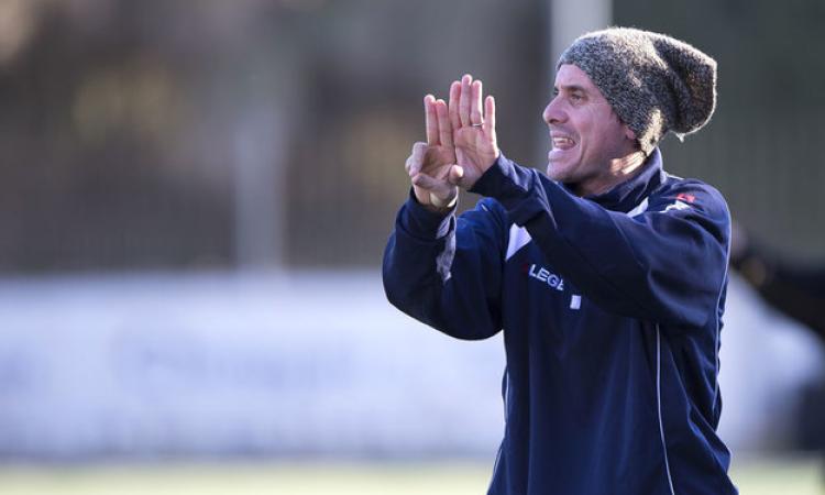 Mister Bellinati, Vigor Perconti