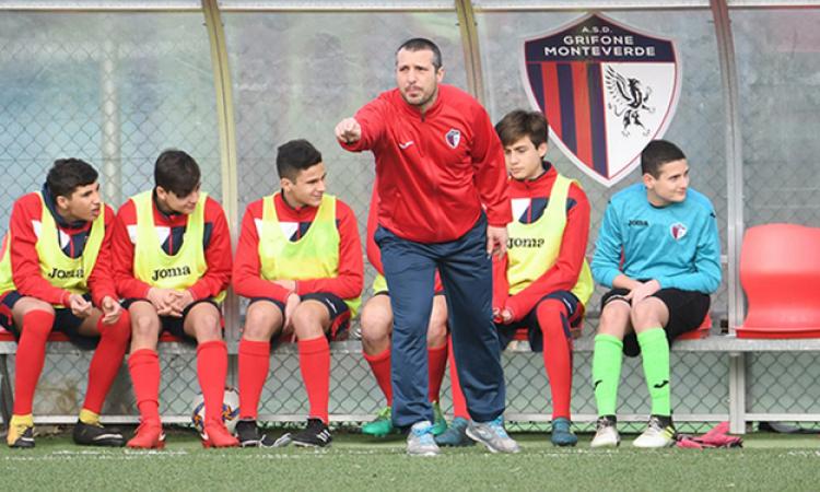 Mister Campagna (Grifone Monteverde) ©Lori
