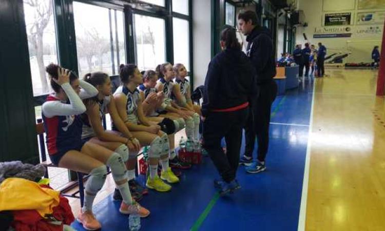 Cicola e le sue ragazze