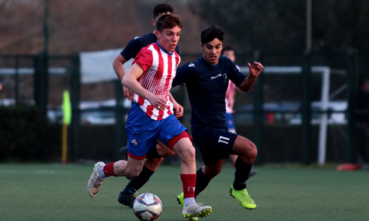 Occasione da non perdere: Vescovio - TdQ, a voi