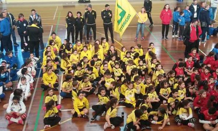 I ragazzi della Volley Academy Civitavecchia