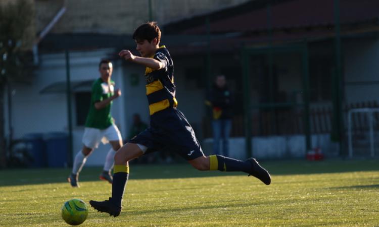 Pio XII in azione ©Lori