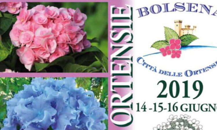 A Bolsena c&amp;apos;è la Festa delle Ortensie