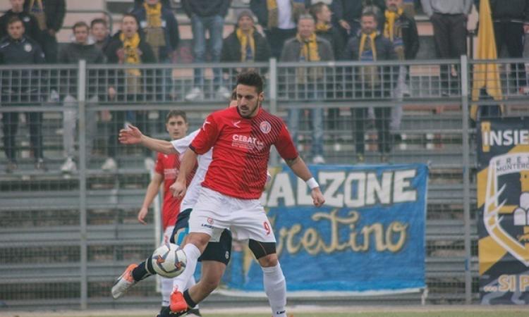 Boreale, doppio colpo in entrata: Nardecchia e D'Ignazio