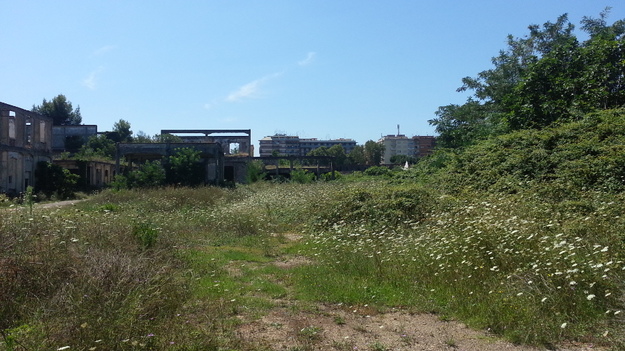 Il parco dell’Ex-Snia Viscosa  FOTO © GAZZETTA REGIONALE