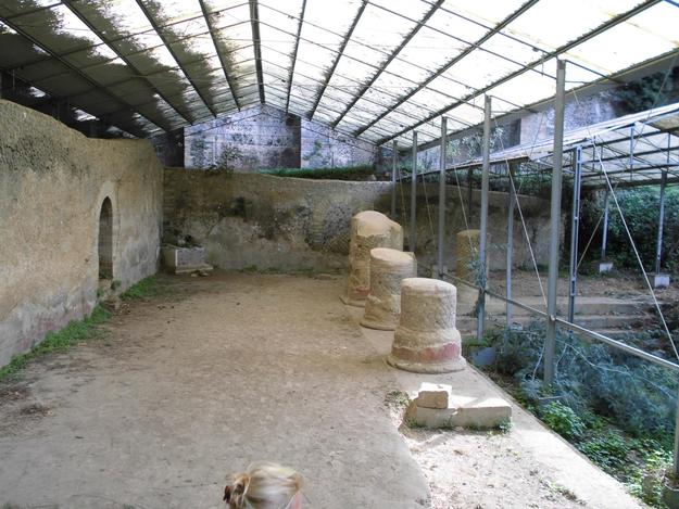 Il tempio di Diana