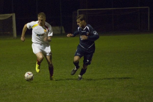 Antocchi in azione