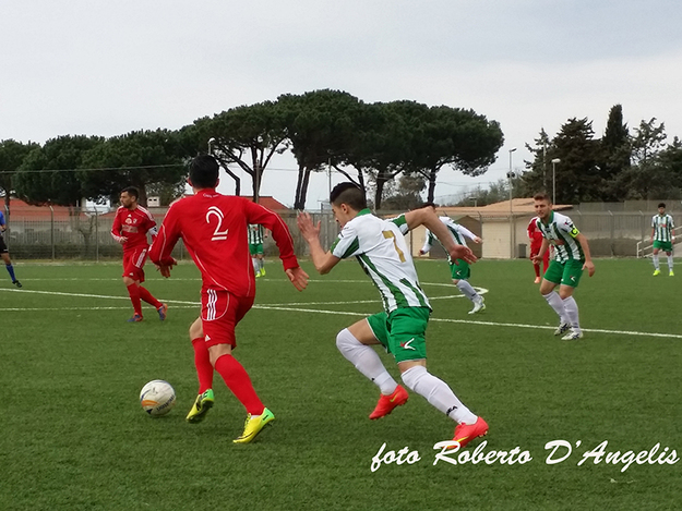 Foto © D'Angelis