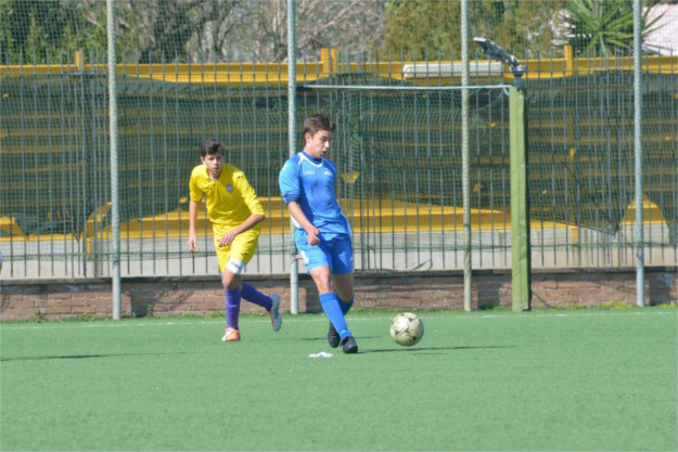 Il Savio non molla