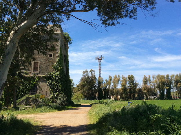 La Torre Primavera a Maccarese
