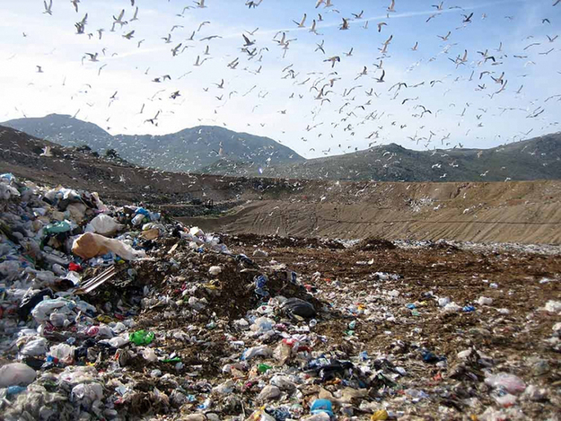 Discarica © Nottecriminale