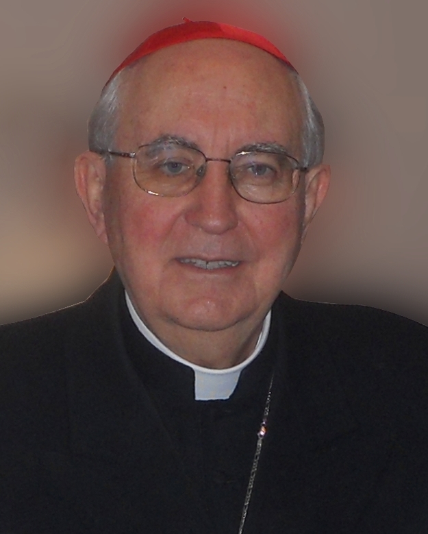 Il Cardinale Vicario di Roma, Agostino Vallini