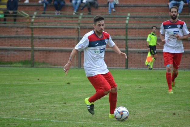 Cervini in azione