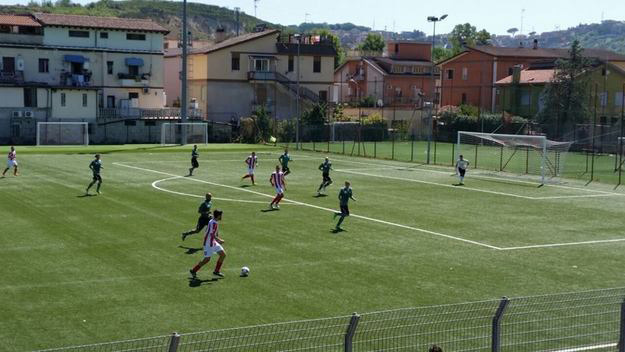 Cantalice in azione