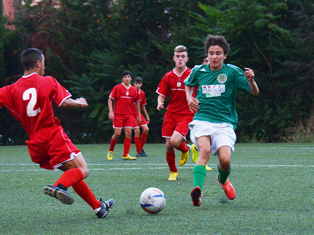 Certosa in azione