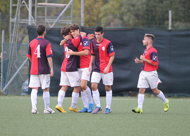 Grifone Monteverde (Foto©DelGobbo)