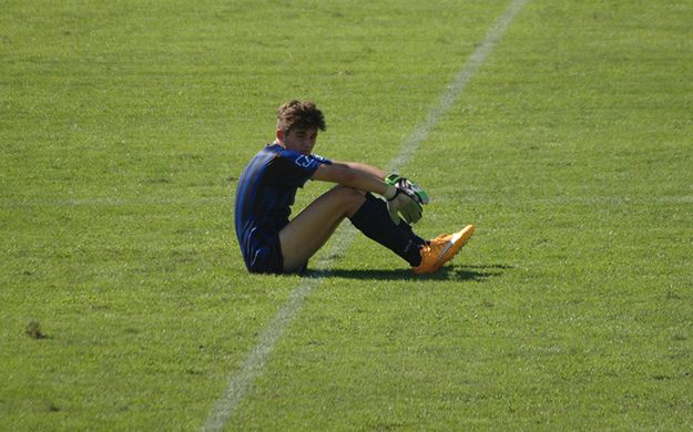 Loliva (foto ©Gazzetta Regionale)