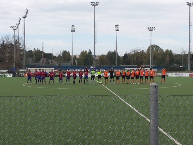 Successo Vigor 