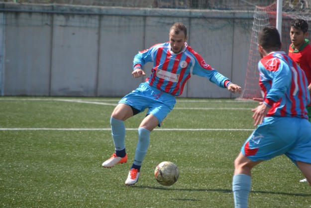 Alex Halauca