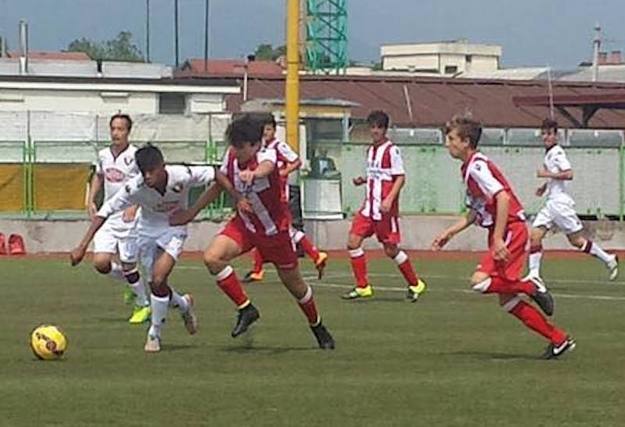 Torino e Napoli le vittime illustri cadute sotto i colpi del Vicenza 