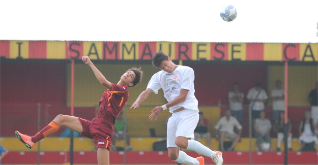 Romulea - Forlì: uno scontro aereo al Macrelli di San Mauro Pascoli (foto Mirna De Cesaris)