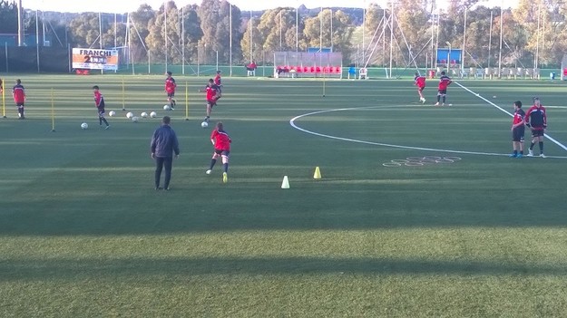 Grifone Monteverde in allenamento