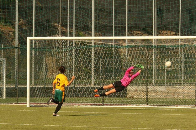 Grifone Gialloverde