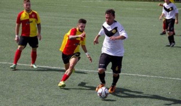 Alcini in azione (foto Fuoriareweb)