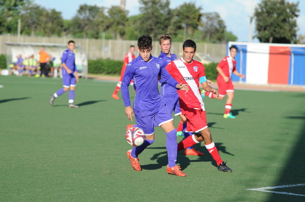 Reale in azione (©Del Gobbo)