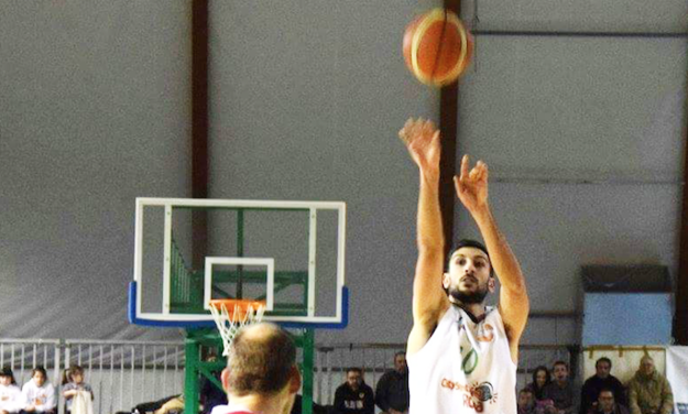 Palestrina, Drigo al tiro
