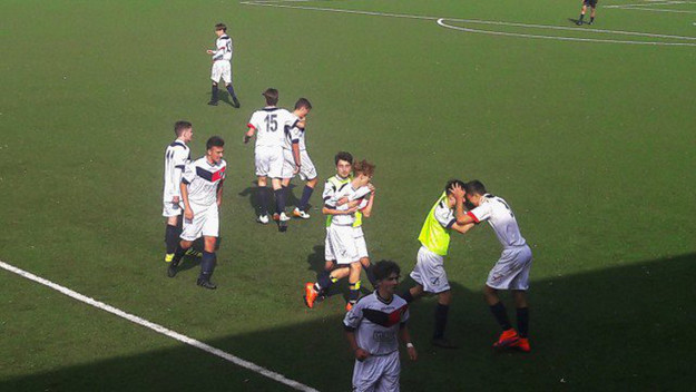 Grifone Monteverde