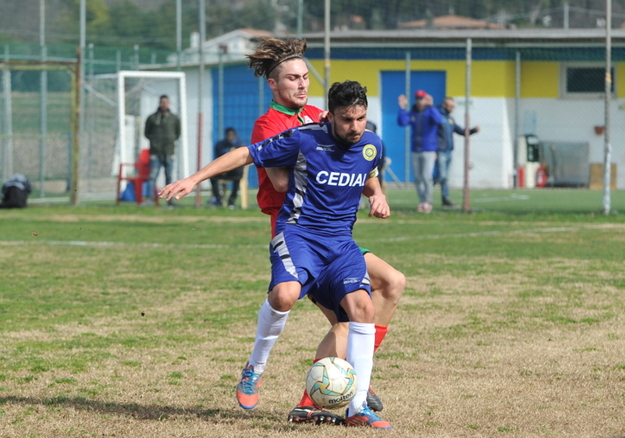 Cedial Lido dei Pini (©Del Gobbo)
