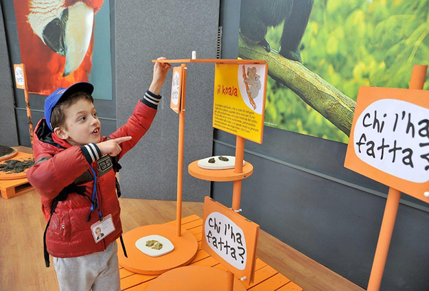 Un bambino durante la mostra