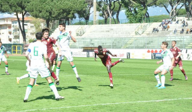 Scamacca contro il Torino ©viareggiocup.com