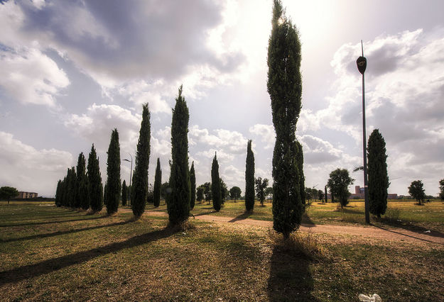 Parco di Centocelle (foto di Paola Pittori)